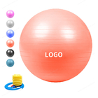 Yoga-Balancen-Ball des Gesundheit Pilates-Stabilitäts-Lehrer-55cm mit Pumpen-Yoga-Balancen-Ball-Eignungs-Ball-Übungs-Ball
