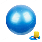 Antiexplosion weiches PVC 45 55 65 75cm Turnhallen-Yoga-Ball-Übungs-Ausrüstungs-Turnhallen-Ball